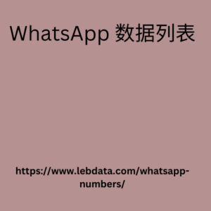 WhatsApp 数据列表