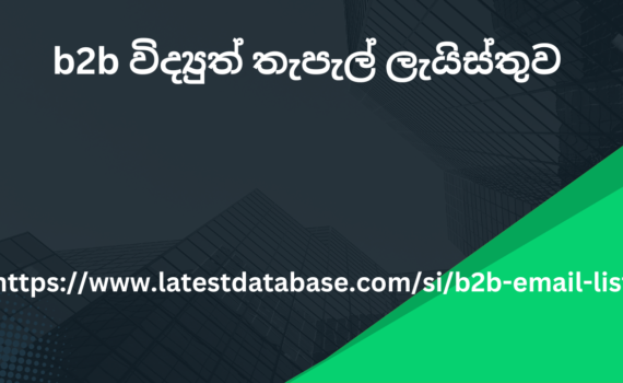 b2b විද්‍යුත් තැපැල් ලැයිස්තුව