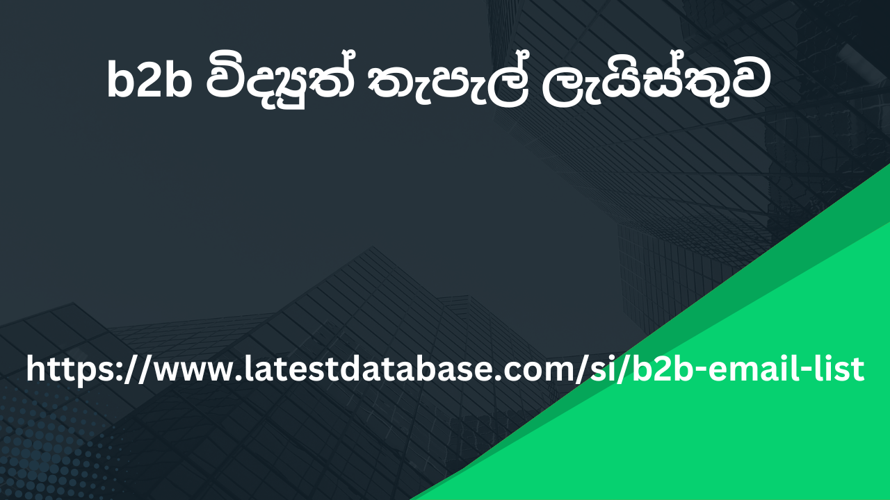 b2b විද්‍යුත් තැපැල් ලැයිස්තුව