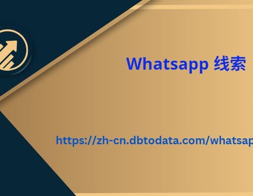 Whatsapp 线索