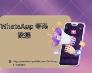 WhatsApp 号码数据