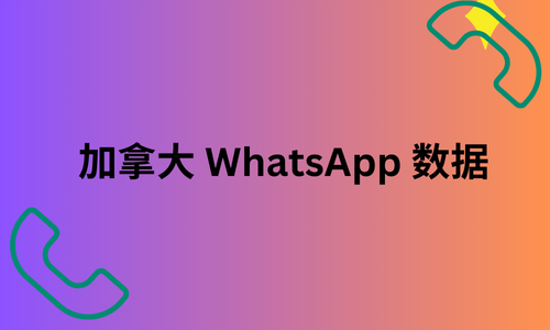 加拿大 WhatsApp 数据