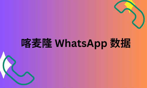 喀麦隆 WhatsApp 数据