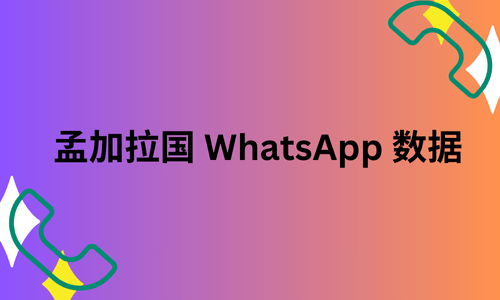 孟加拉国 WhatsApp 数据