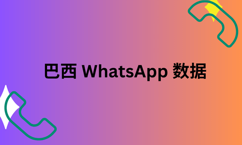 巴西 WhatsApp 数据