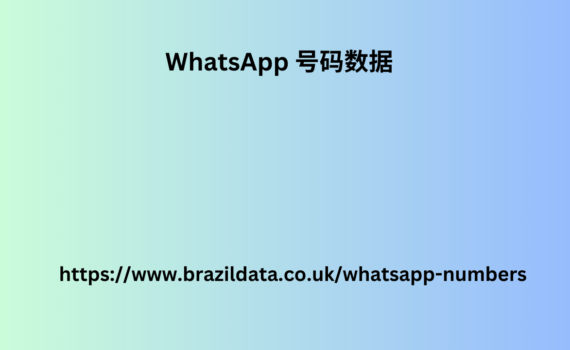 WhatsApp 号码数据