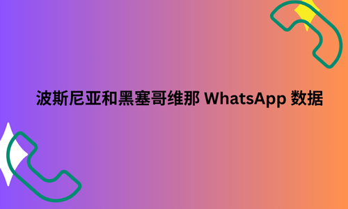 波斯尼亚和黑塞哥维那 WhatsApp 数据