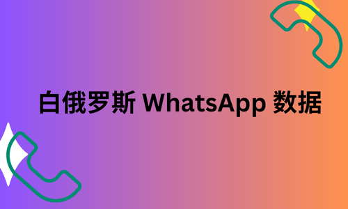 白俄罗斯 WhatsApp 数据